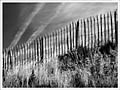 photo noir et blanc de palissade dans les dunes